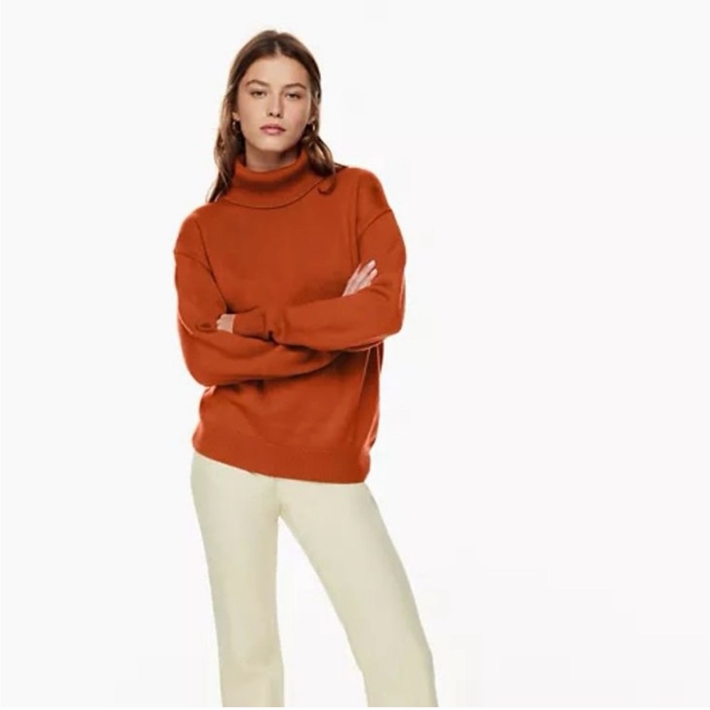 Aritzia Wilfred turtle neck wool sweater